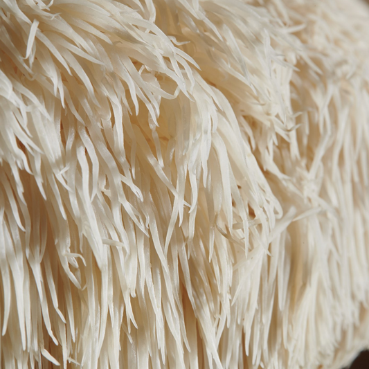 Lion’s Mane Research